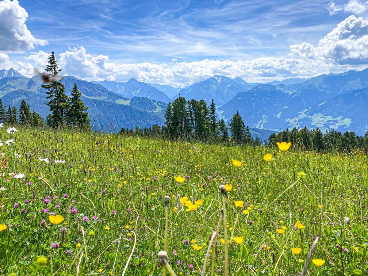 Appartement Franz Zell am Ziller Esterno foto